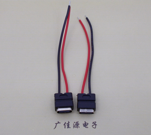 佛山type c2p防水母座焊线式带线注塑成型带接线端子/不带接线端子充电连接器