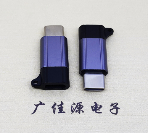 佛山Type-C母转Type-C公 USB3.1 PD100W快冲接口